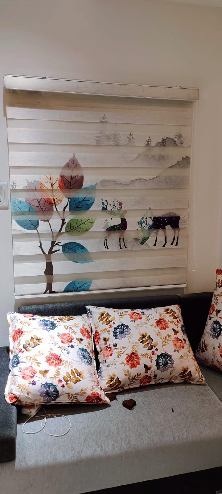 Zebra Day & Night Blinds